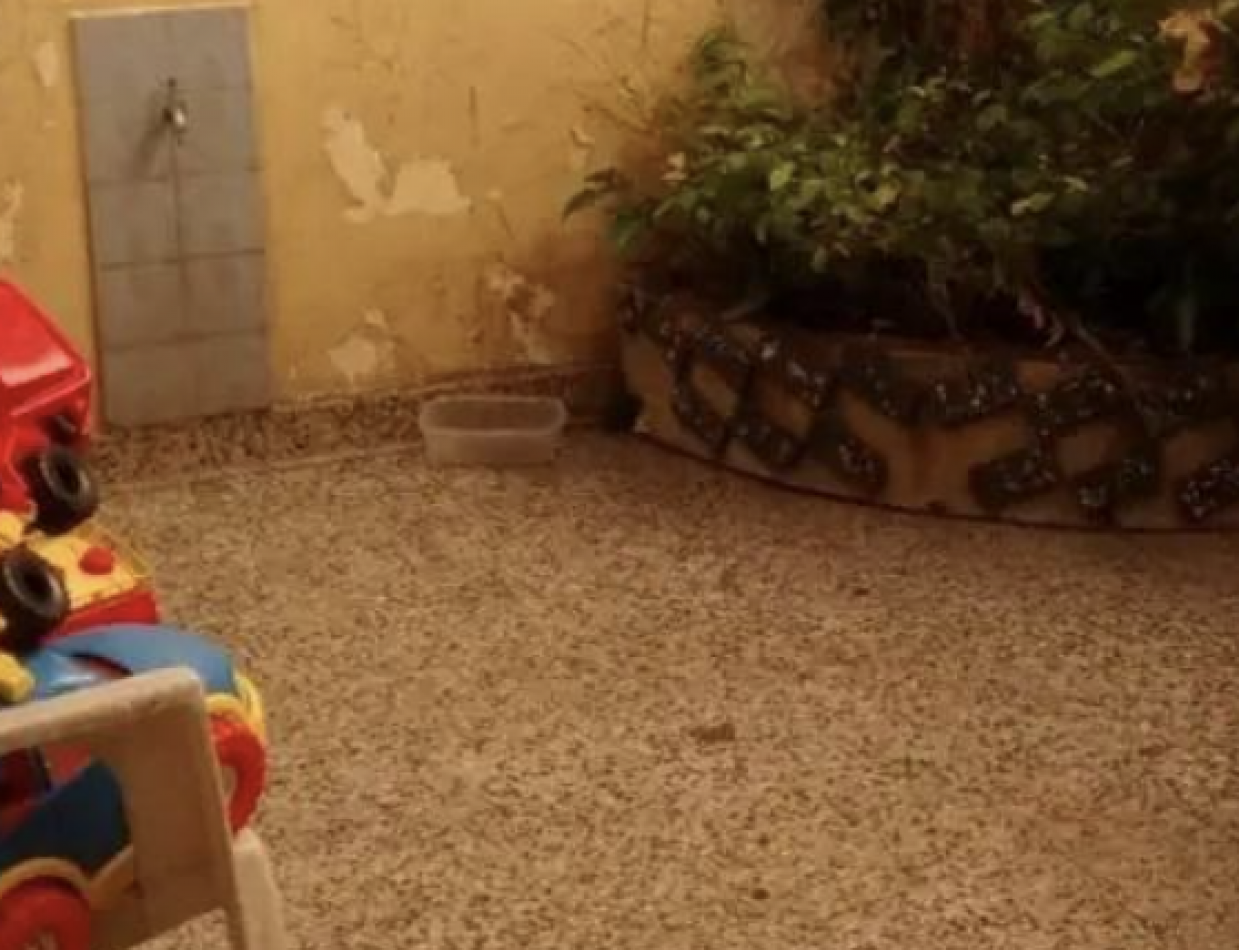 Departamento 4 Ambientes en Planta Baja con Patio - Apto Credito y Listo para Disfrutar