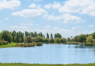 Lote Terreno venta En La Magdalena - Sector Historico